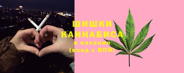 бошки Бердск