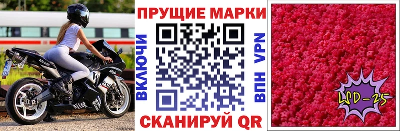 закладки  Ростов-на-Дону  Наркотические марки 1,5мг 