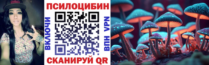Галлюциногенные грибы Psilocybine cubensis  мега ССЫЛКА  Ростов-на-Дону 