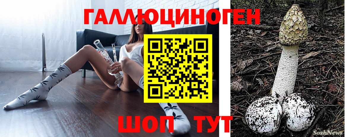 Галлюциногенные грибы мицелий Ростов-на-Дону